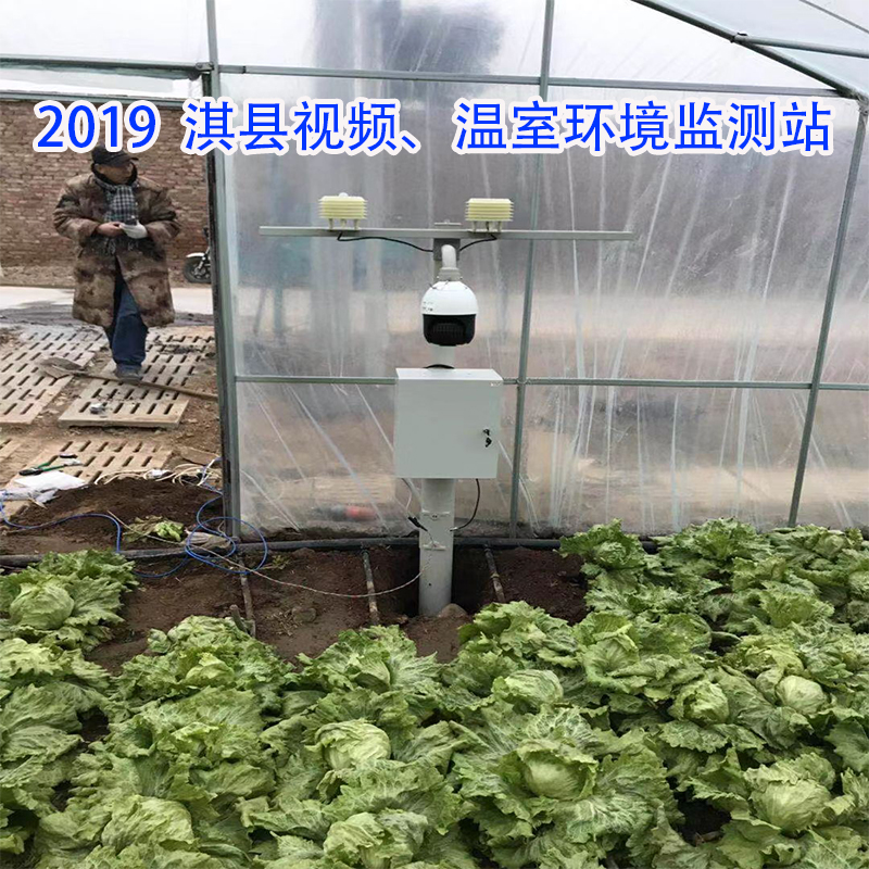 2019  淇县视频、温室环境监测站